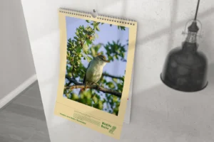 Printdesign - Enrol Printdesign - Enrol