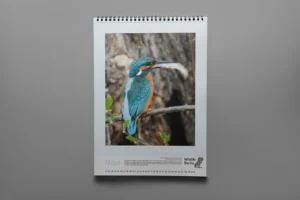 Printdesign - Enrol Printdesign - Enrol