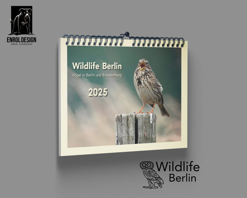 Wildlife Berlin Kalender 2025 – Berlin wild und wunderschön