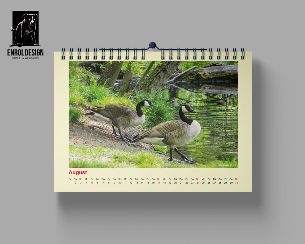 Wildlife Berlin Kalender 2025 – Berlin wild und wunderschön