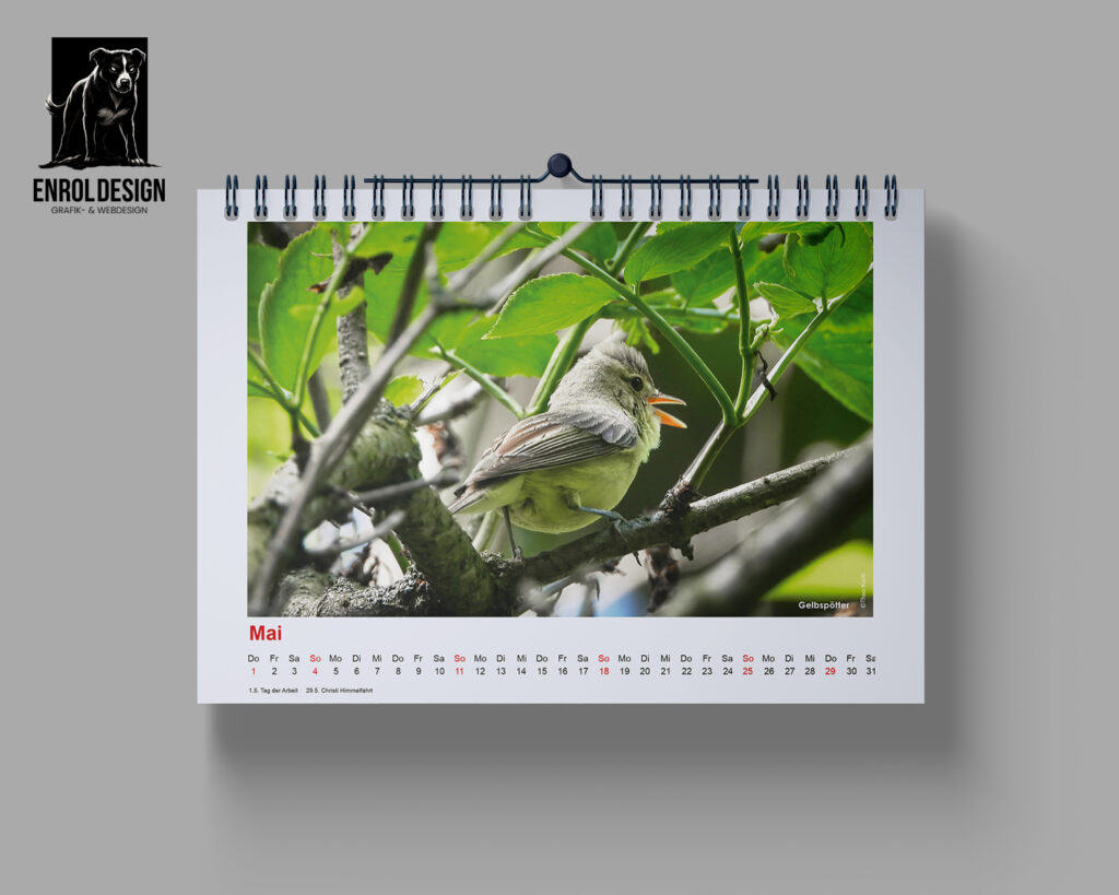 Wildlife Berlin Kalender 2025 – Berlin wild und wunderschön