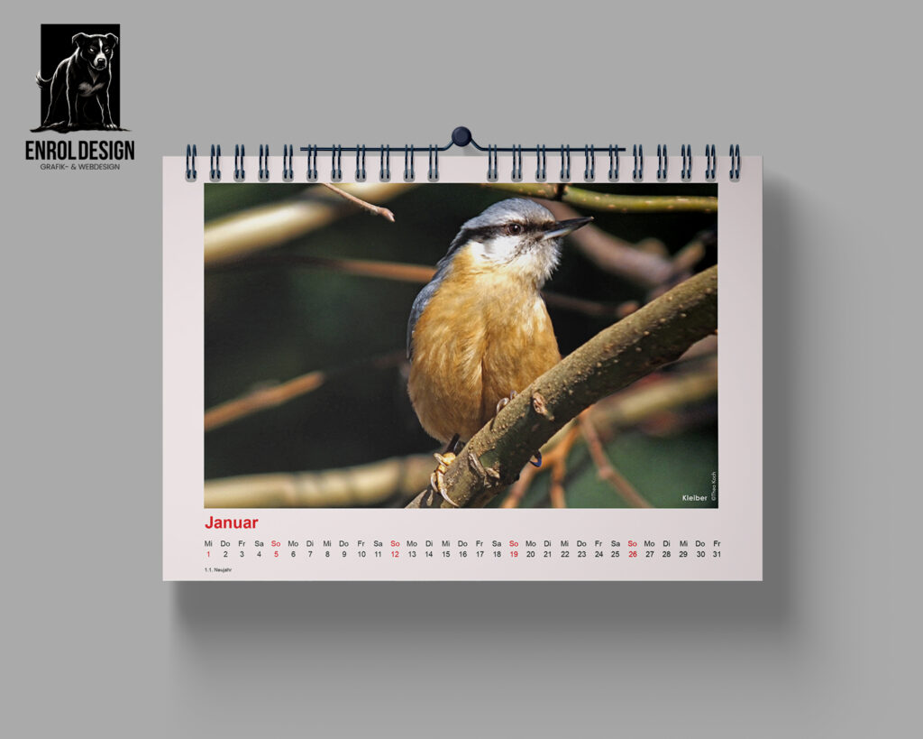Wildlife Berlin Kalender 2025 – Berlin wild und wunderschön